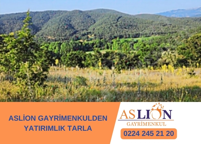 ASLİON GAYRİMENKULDEN YATIRIMLIK TARLA